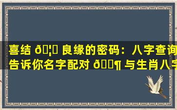 喜结 🦄 良缘的密码：八字查询告诉你名字配对 🐶 与生肖八字的关系！
